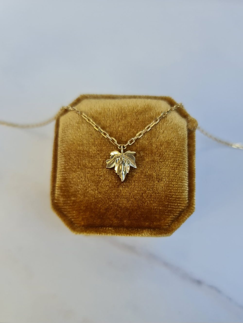 Shop Primary Image